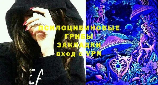 бутират Алзамай