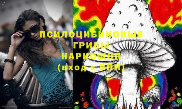 бутират Алзамай